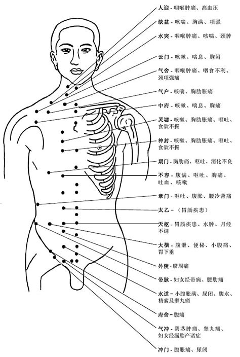 穴位|人体穴位图大全（带穴位功能主治说明）